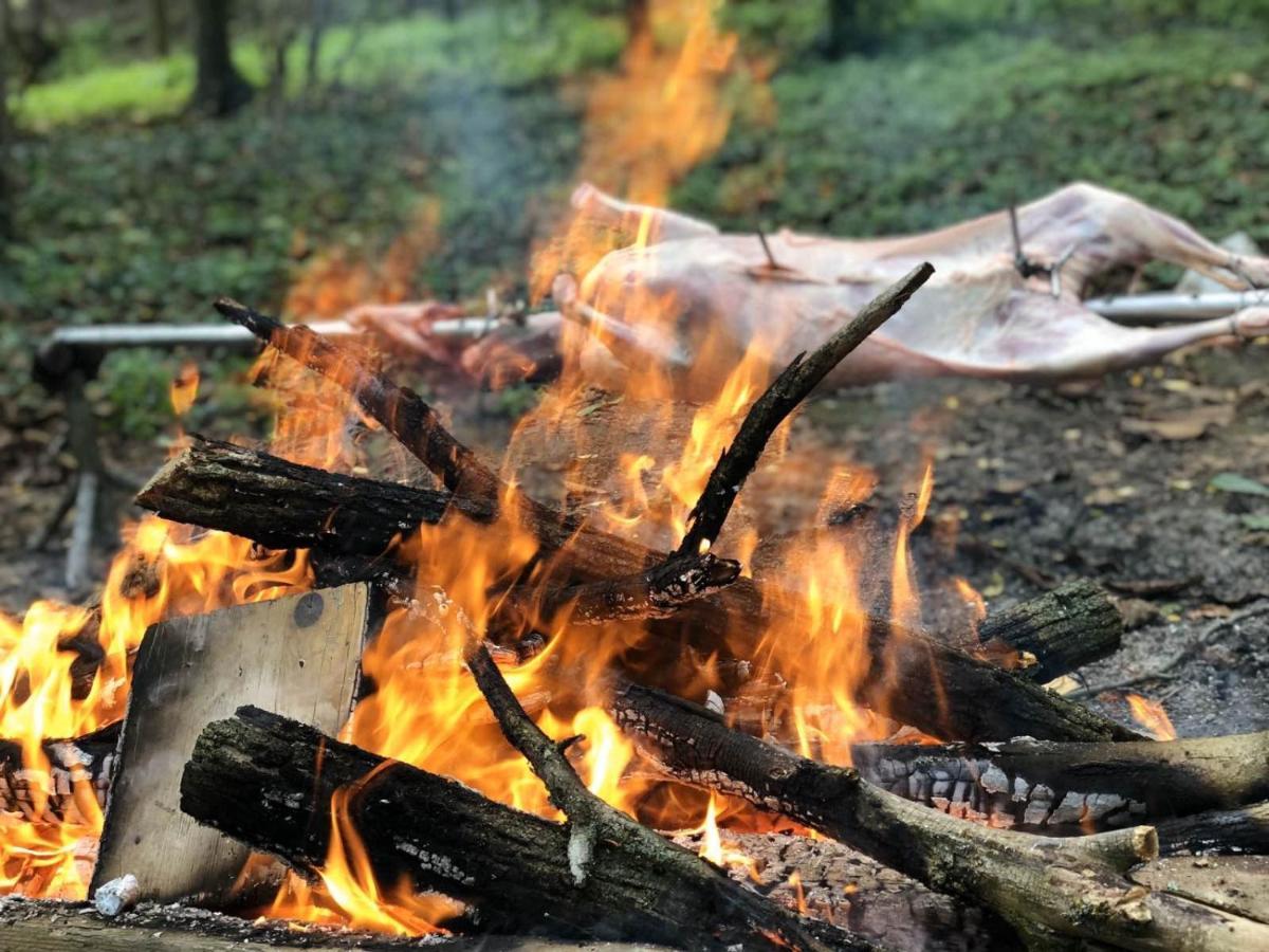 Baranja Black Hill'S Hercegmárok Kültér fotó