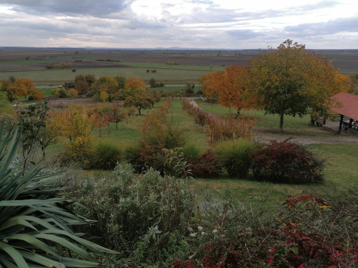Baranja Black Hill'S Hercegmárok Kültér fotó
