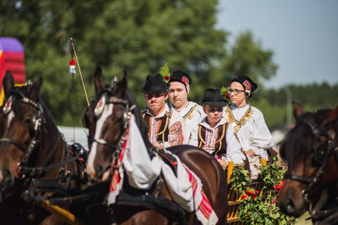 Baranja Black Hill'S Hercegmárok Kültér fotó