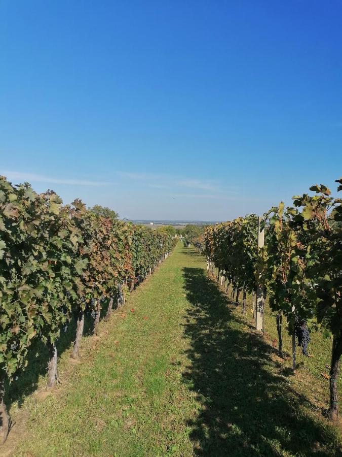 Baranja Black Hill'S Hercegmárok Kültér fotó