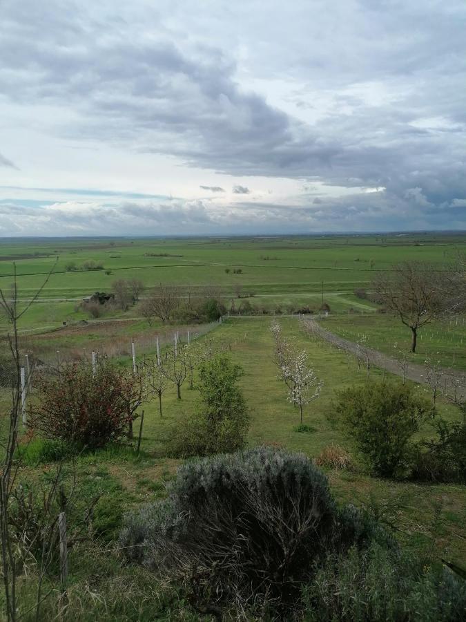 Baranja Black Hill'S Hercegmárok Kültér fotó